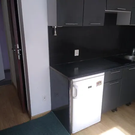 公寓 Zemb Apartamenty 克拉科夫